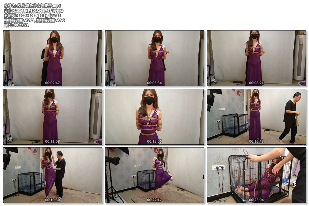 艾琳 紫色纱衣与笼子